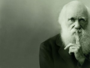 voix_off_darwin