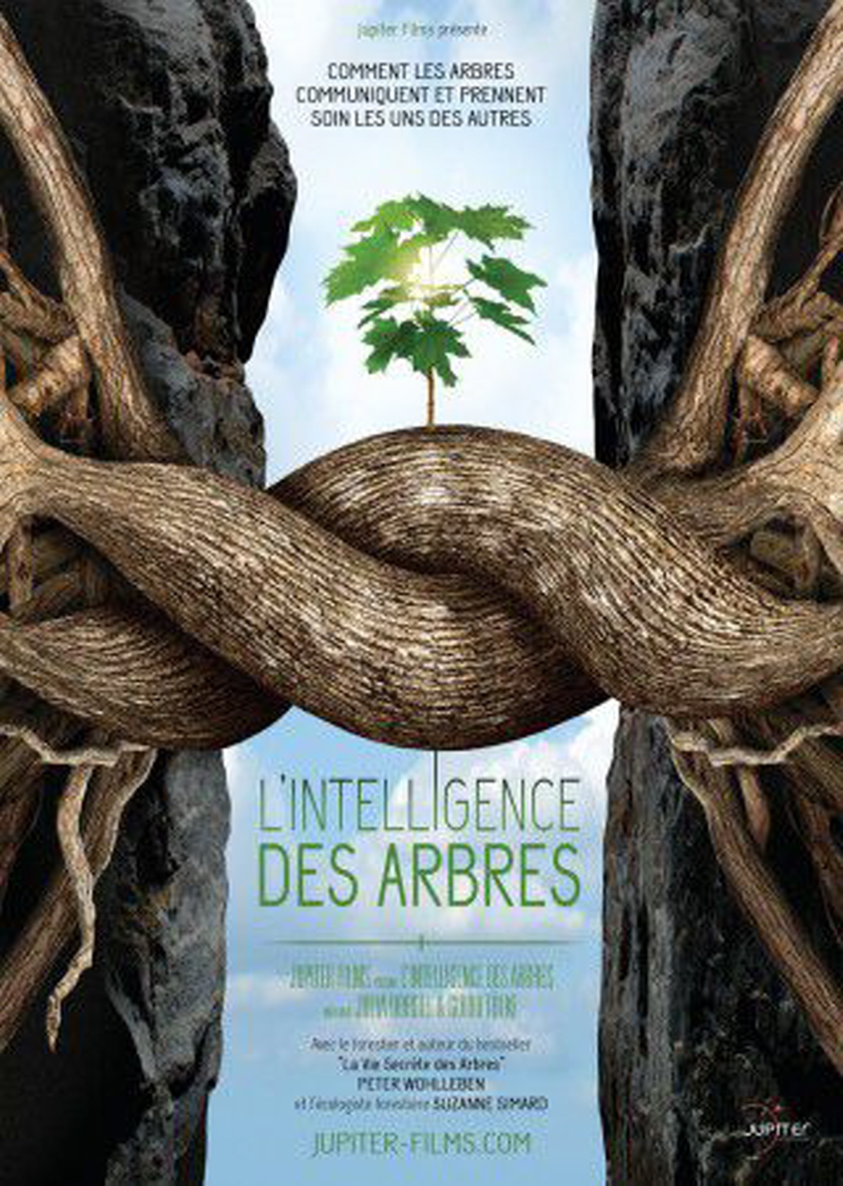 voice_over_intelligence_des_arbes