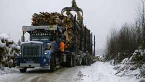 voix_off_doublage_mastodontes