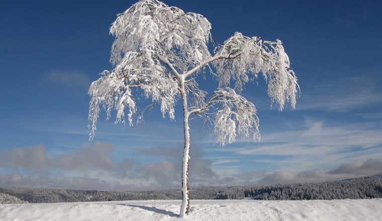 voix_off_grand_froid_frontieres_de_la_science